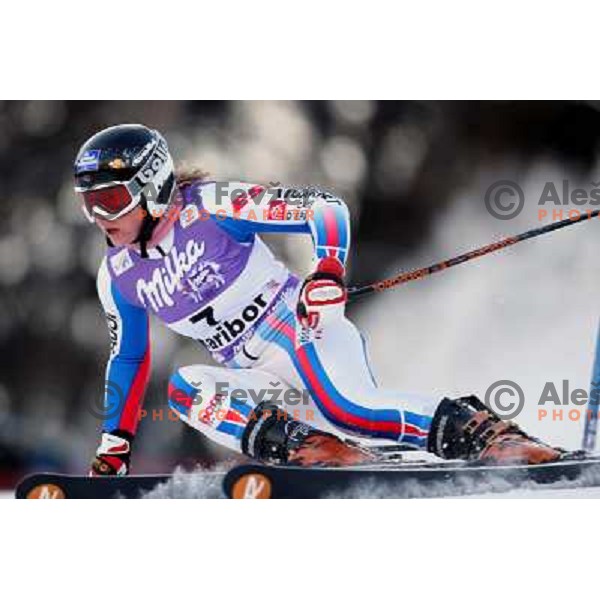 Tessa Worley (FRA) at first run of 45.Golden fox- Zlata Lisica World Alpine skiing giant slalom in Maribor, Slovenia 10.1.2009 