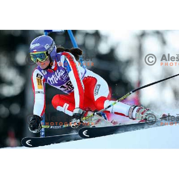 Sarka Zahrobska (CZE) at first run of 45.Golden fox- Zlata Lisica World Alpine skiing giant slalom in Maribor, Slovenia 10.1.2009 