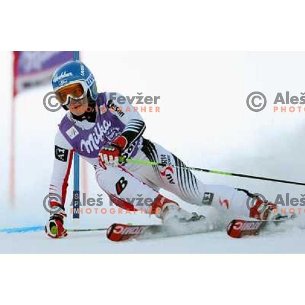 Kathrin Zettel (AUT) at first run of 45.Golden fox- Zlata Lisica World Alpine skiing giant slalom in Maribor, Slovenia 10.1.2009 
