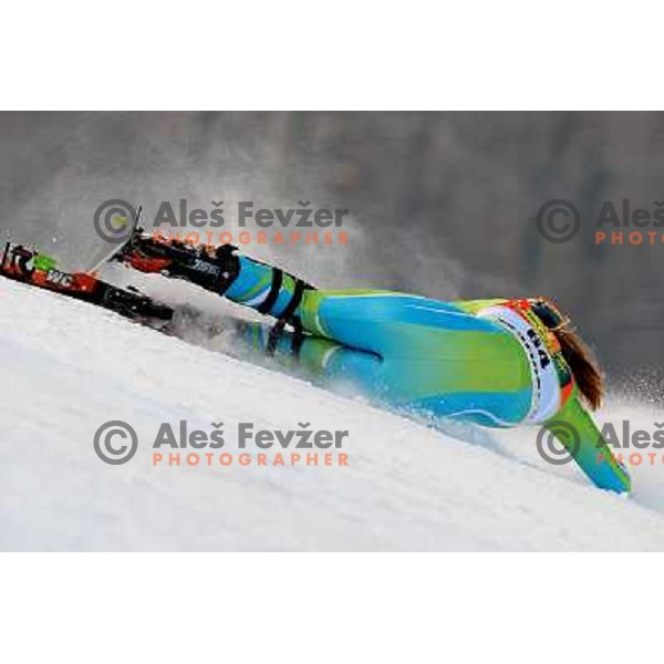 Ana drev (SLO) 