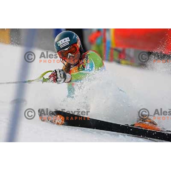 Ana drev (SLO) at first run of Audi FIS Ski world Cup slalom at 45.Golden fox- Zlata Lisica , Maribor, Slovenia 11.1.2009 