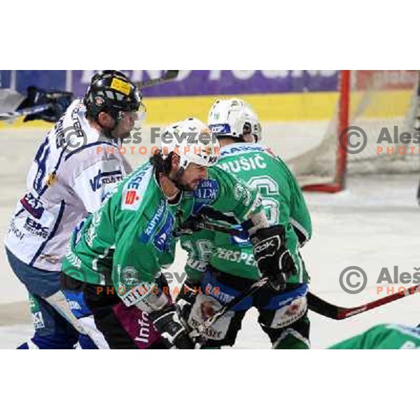 Banham at ice hockey match Tilia Olimpija- Alba in round 44 of Ebel league, played in Hala Tivoli, Ljubljana 11.1.2009. Tilia Olimpija won 2:1 