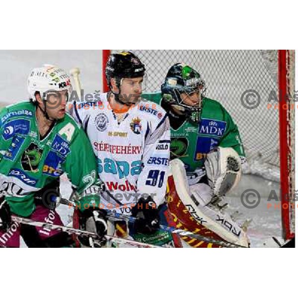 Kuznik, Sila at ice hockey match Tilia Olimpija- Alba in round 44 of Ebel league, played in Hala Tivoli, Ljubljana 11.1.2009. Tilia Olimpija won 2:1 
