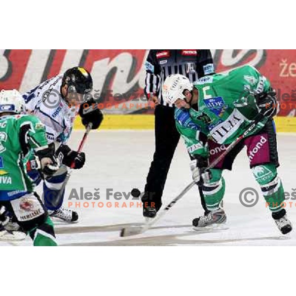 Tomaz Vnuk at ice hockey match Tilia Olimpija- Alba in round 44 of Ebel league, played in Hala Tivoli, Ljubljana 11.1.2009. Tilia Olimpija won 2:1 
