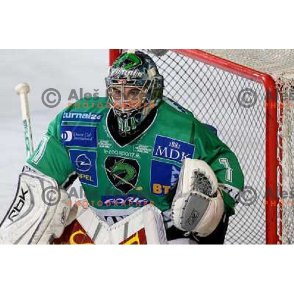 Ales Sila at ice hockey match Tilia Olimpija- Alba in round 44 of Ebel league, played in Hala Tivoli, Ljubljana 11.1.2009. Tilia Olimpija won 2:1 
