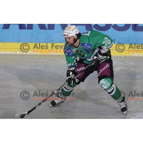 Frank Banham at ice hockey match Tilia Olimpija- Alba in round 44 of Ebel league, played in Hala Tivoli, Ljubljana 11.1.2009. Tilia Olimpija won 2:1 