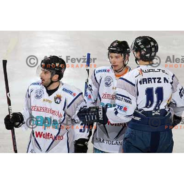 Alba players celebrate first goal at ice hockey match Tilia Olimpija- Alba in round 44 of Ebel league, played in Hala Tivoli, Ljubljana 11.1.2009. Tilia Olimpija won 2:1 