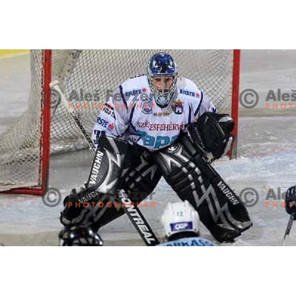 at ice hockey match Tilia Olimpija- Alba in round 44 of Ebel league, played in Hala Tivoli, Ljubljana 11.1.2009. Tilia Olimpija won 2:1 
