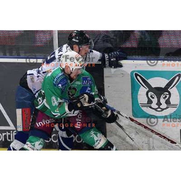 Andrej Tavzelj at ice hockey match Tilia Olimpija- Alba in round 44 of Ebel league, played in Hala Tivoli, Ljubljana 11.1.2009. Tilia Olimpija won 2:1 