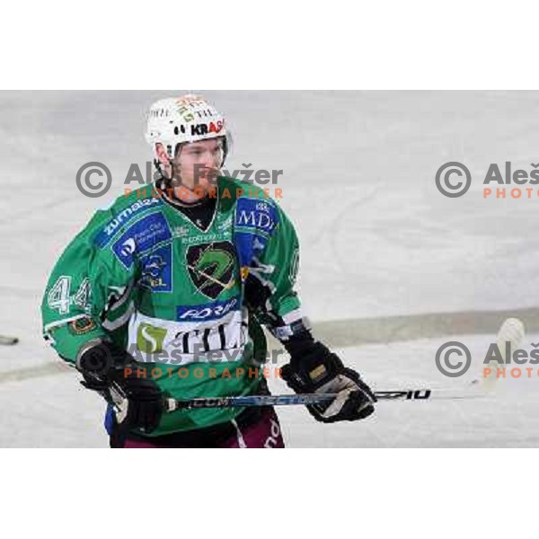 Andrej Tavzelj at ice hockey match Tilia Olimpija- Alba in round 44 of Ebel league, played in Hala Tivoli, Ljubljana 11.1.2009. Tilia Olimpija won 2:1 