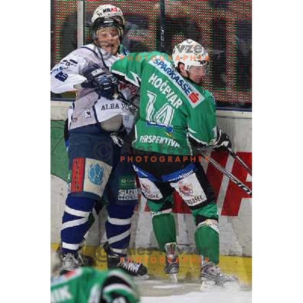 Hocevar at ice hockey match Tilia Olimpija- Alba in round 44 of Ebel league, played in Hala Tivoli, Ljubljana 11.1.2009. Tilia Olimpija won 2:1 