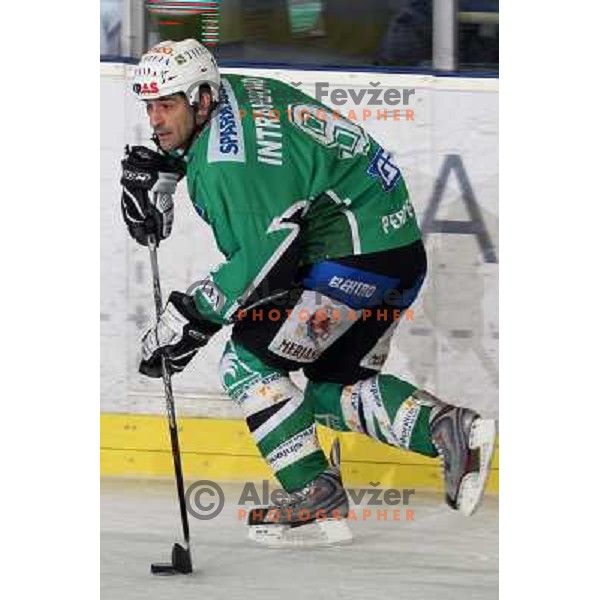 Intranuovo at ice hockey match Tilia Olimpija- Alba in round 44 of Ebel league, played in Hala Tivoli, Ljubljana 11.1.2009. Tilia Olimpija won 2:1 