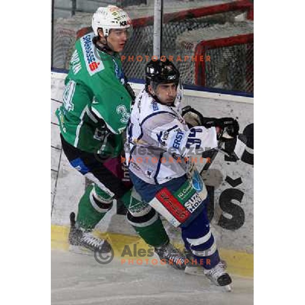 Ziga Pavlin at ice hockey match Tilia Olimpija- Alba in round 44 of Ebel league, played in Hala Tivoli, Ljubljana 11.1.2009. Tilia Olimpija won 2:1 