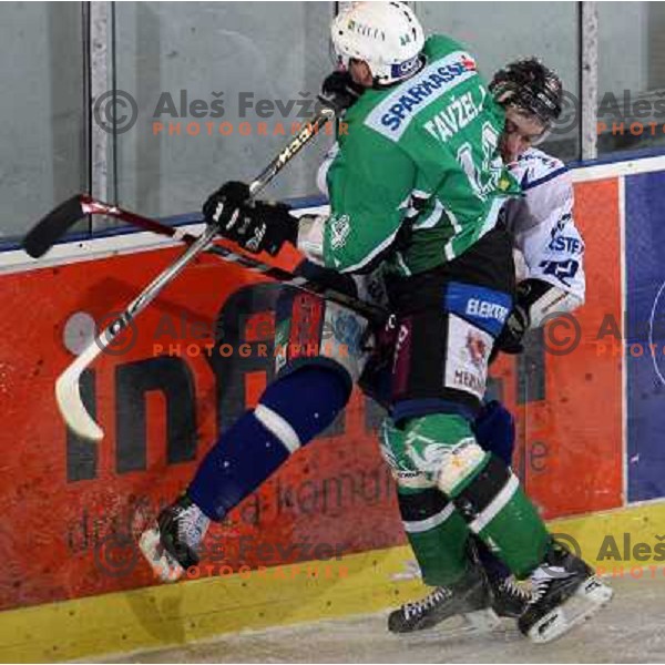 Andrej Tavzelj at ice hockey match Tilia Olimpija- Alba in round 44 of Ebel league, played in Hala Tivoli, Ljubljana 11.1.2009. Tilia Olimpija won 2:1 