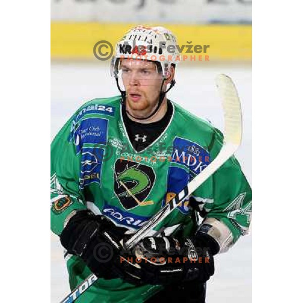 Andrej Tavzelj at ice hockey match Tilia Olimpija- Alba in round 44 of Ebel league, played in Hala Tivoli, Ljubljana 11.1.2009. Tilia Olimpija won 2:1 