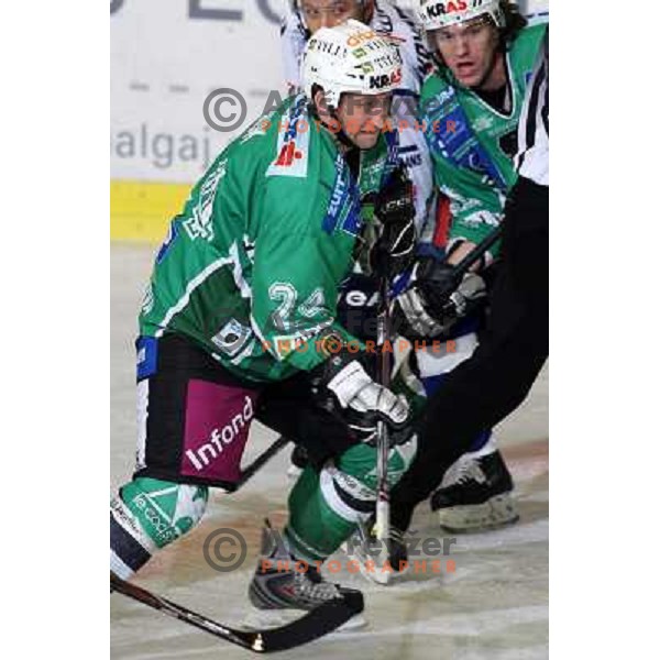 Tomaz Vnuk at ice hockey match Tilia Olimpija- Alba in round 44 of Ebel league, played in Hala Tivoli, Ljubljana 11.1.2009. Tilia Olimpija won 2:1 