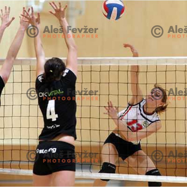 Klasinc at volleyball match Sloving Vital- Benedikt in 1.DOL, played in Ljubljana 31.1.2008. Slovnig Vital won 3:0 