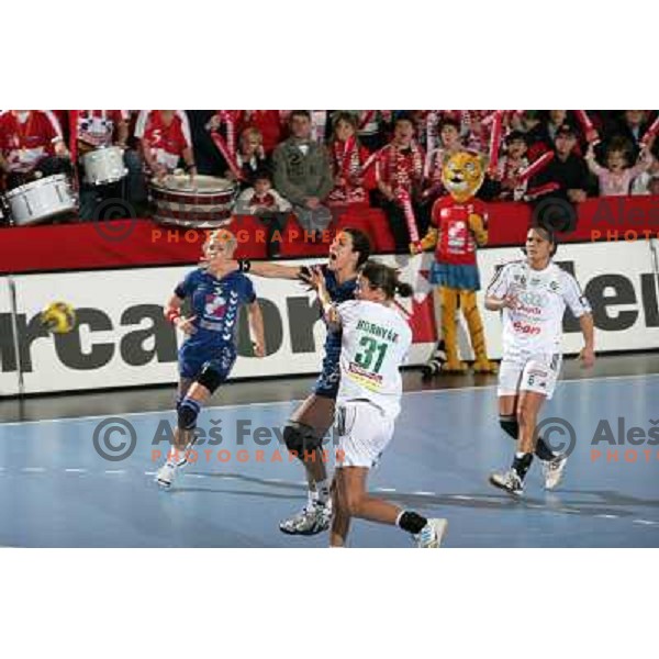 Damjanovic at handball match Krim Mercator- Gyori Audi Eto KC in EHF Championsleague, group II, played in Kodeljevo Hall, Ljubljana 7.2.2009. Gyori won 35:31 