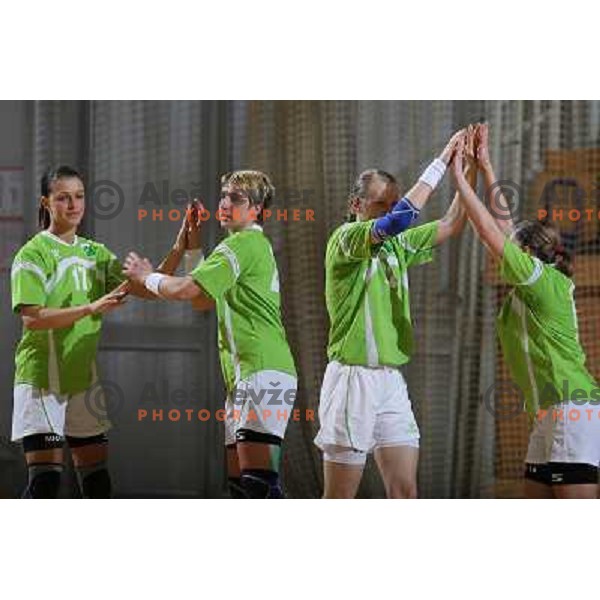Gojkovic, Pus, skutnik, Ivanc at handball match RK Olimpija (SLO)-Jedinstvo Tuzla (BiH) in European Cup, played in Hala Tivoli, Ljubljana 8.2.2009. Rk Olimpija won 37:21 