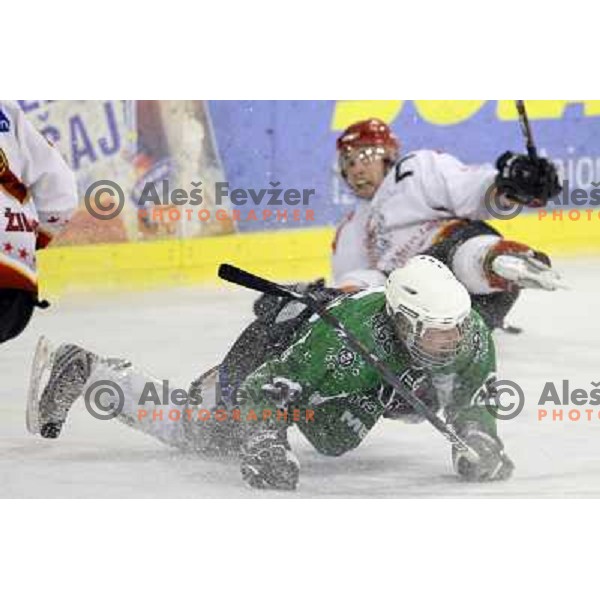 ice hockey match Toja Olimpija- Jesenice mladi in quarter final of Slovenian championship, played in Hala Tivoli, Ljubljana 18.2.2009. Toja Olimpija won 4:1 and lead series 1:0 
