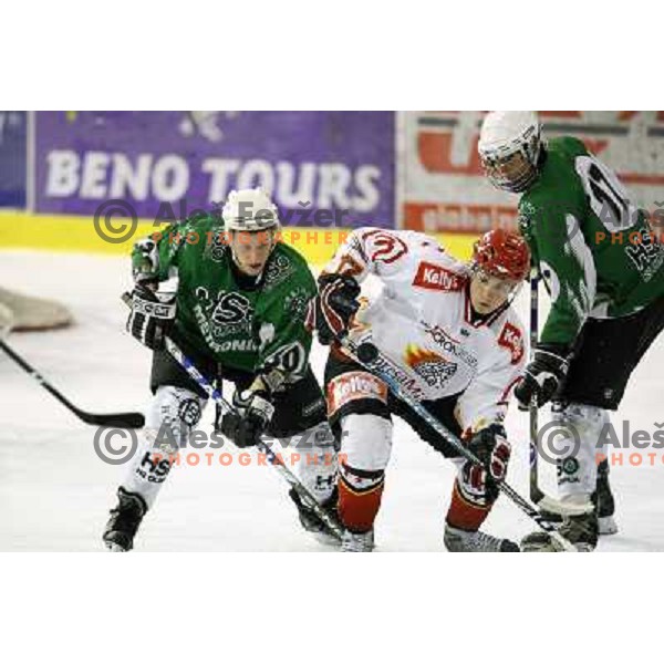 ice hockey match Toja Olimpija- Jesenice mladi in quarter final of Slovenian championship, played in Hala Tivoli, Ljubljana 18.2.2009. Toja Olimpija won 4:1 and lead series 1:0 
