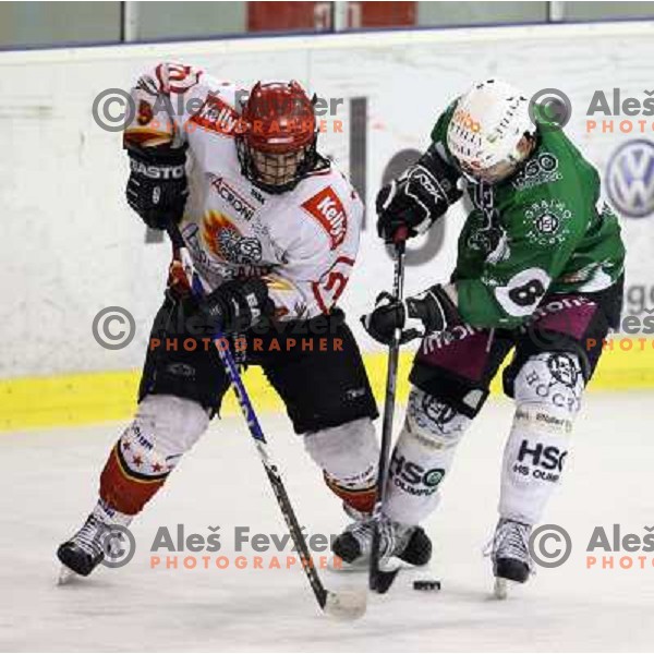ice hockey match Toja Olimpija- Jesenice mladi in quarter final of Slovenian championship, played in Hala Tivoli, Ljubljana 18.2.2009. Toja Olimpija won 4:1 and lead series 1:0 