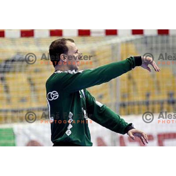 Gorazd Skof at handball match Celje PL- Croatia Osiguranje Zagreb in EHF Champions league men group 2, played in Zlatorog Hall in Celje 21.2.2009. Croatia Osiguranje Zagreb won 25:22 
