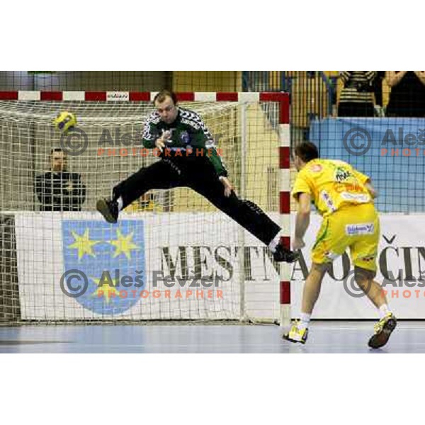 Skof at handball match Celje PL- Croatia Osiguranje Zagreb in EHF Champions league men group 2, played in Zlatorog Hall in Celje 21.2.2009. Croatia Osiguranje Zagreb won 25:22 