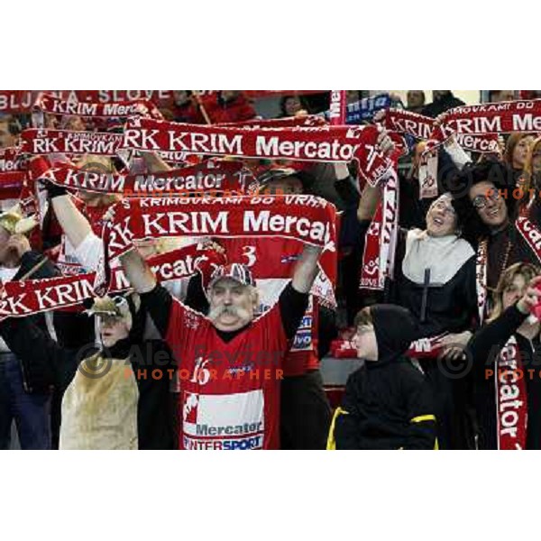 Krimovci at handball match Krim Mercator- Buducnost in EHF Women\'s Championsleague, played at Kodeljevo, Ljubljana 22.2.2009. Krim Mercator won 35:28 