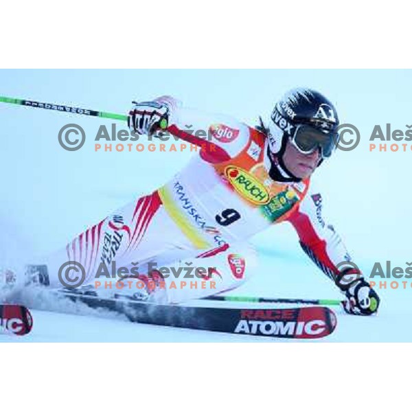 Marcel Hirscher (AUT) during first run of giant slalom in Kranjska gora,Slovenia on 28.2.2009- Audi FIS World Cup race 