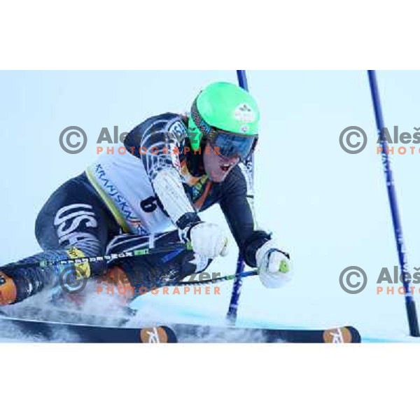 Ted Ligety (USA) during first run of giant slalom in Kranjska gora,Slovenia on 28.2.2009- Audi FIS World Cup race 