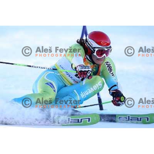 Miha Kuerner (SLO) during first run of giant slalom in Kranjska gora,Slovenia on 28.2.2009- Audi FIS World Cup race 