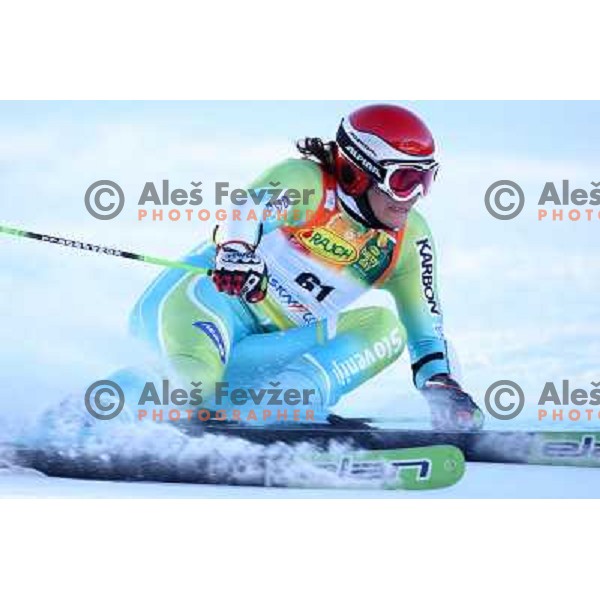 Miha Kuerner (SLO) during first run of giant slalom in Kranjska gora,Slovenia on 28.2.2009- Audi FIS World Cup race 