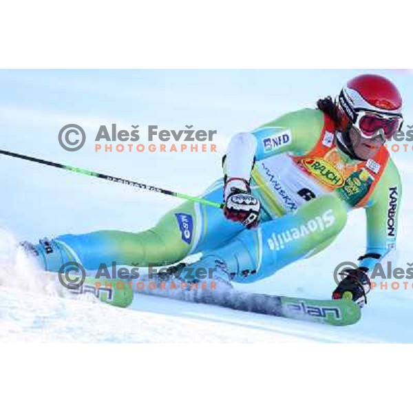 Miha Kuerner (SLO) during first run of giant slalom in Kranjska gora,Slovenia on 28.2.2009- Audi FIS World Cup race 