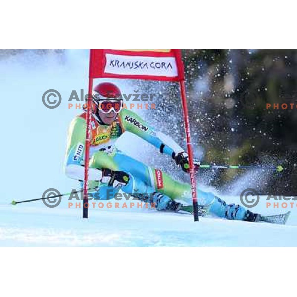 Miha Kuerner (SLO) during first run of giant slalom in Kranjska gora,Slovenia on 28.2.2009- Audi FIS World Cup race 