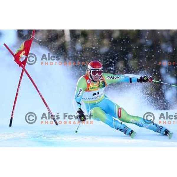 Miha Kuerner (SLO) during first run of giant slalom in Kranjska gora,Slovenia on 28.2.2009- Audi FIS World Cup race 