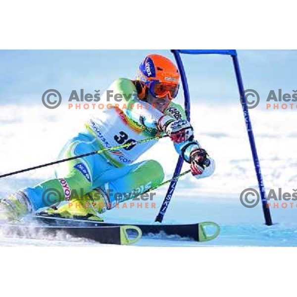 Ales Gorza (SLO) during first run of giant slalom in Kranjska gora,Slovenia on 28.2.2009- Audi FIS World Cup race 