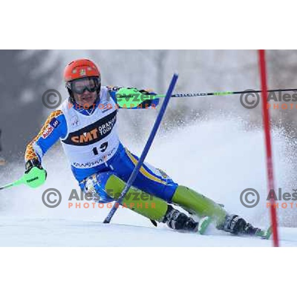Johan Brolenius (SWE) during first run of Audi FIS World Cup Slalom,Pokal Vitranc, Kranjska gora, Slovenia 1.03.2009 
