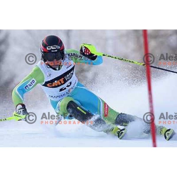 Mitja Dragsic (SLO) during first run of Audi FIS World Cup Slalom,Pokal Vitranc, Kranjska gora, Slovenia 1.03.2009 