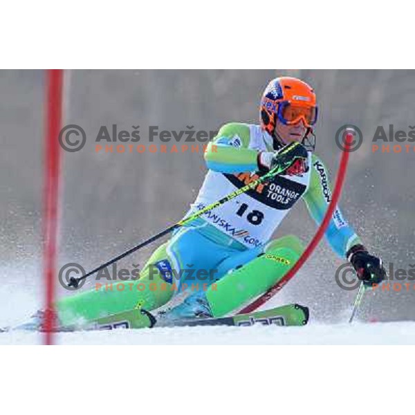 Bernard Vajdic (SLO) during first run of Audi FIS World Cup Slalom,Pokal Vitranc, Kranjska gora, Slovenia 1.03.2009 
