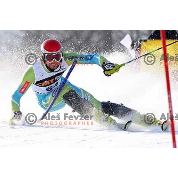 Anze Mravlja (SLO) during first run of Audi FIS World Cup Slalom,Pokal Vitranc, Kranjska gora, Slovenia 1.03.2009 