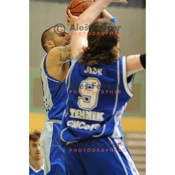 Novak at basketball match Elektra Esotech - TCG Mercator , played in the UPC League in Sostanj sports hall, Sostanj , 11.03.2009 