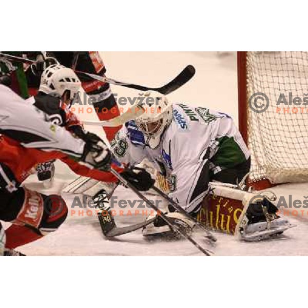 at second game of playoff Acroni Jesenice- Tilia Olimpija, played in Podmezakla Hall at Jesenice 17.3.2009 