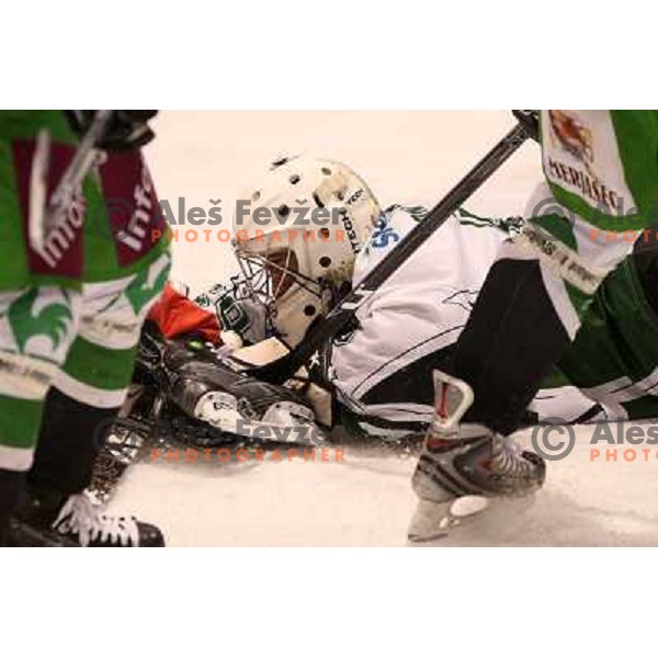 at second game of playoff Acroni Jesenice- Tilia Olimpija, played in Podmezakla Hall at Jesenice 17.3.2009 