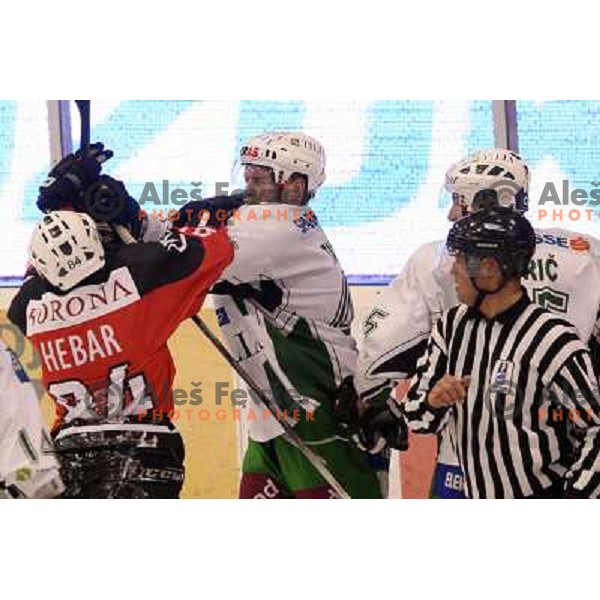 Hebar and Tavzelj at second game of playoff Acroni Jesenice- Tilia Olimpija, played in Podmezakla Hall at Jesenice 17.3.2009 