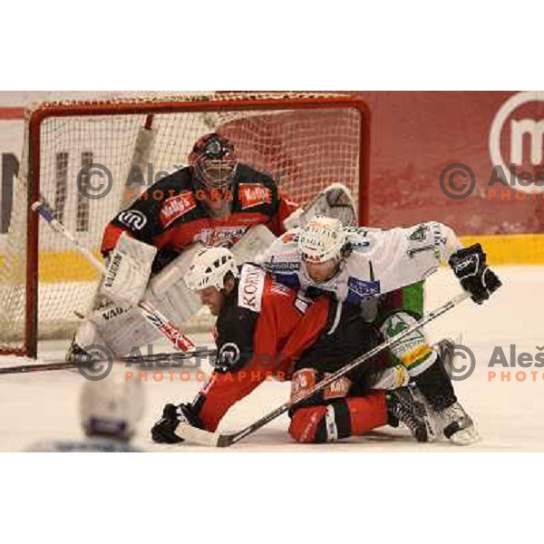 at second game of playoff Acroni Jesenice- Tilia Olimpija, played in Podmezakla Hall at Jesenice 17.3.2009 