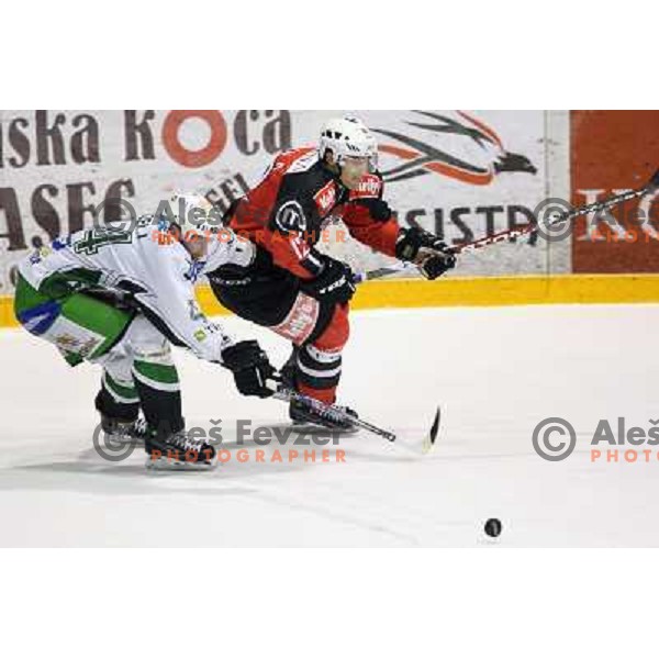 Tavzelj and David Rodman at second game of playoff Acroni Jesenice- Tilia Olimpija, played in Podmezakla Hall at Jesenice 17.3.2009. Acroni Jesenice won after penalty shot-out 