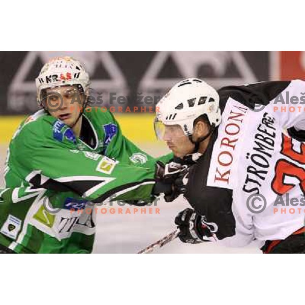 Conny Stromberg and Nejc Berlisk during third game of Playoff between Tilia Olimpija abd Acroni Jesenice, played in Hala Tivoli, Ljubljana, Slovenia 20.3.2009 