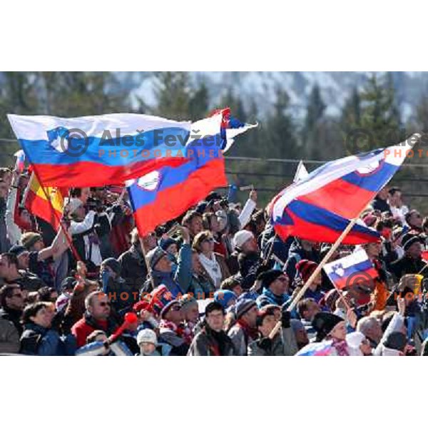  SLO flags