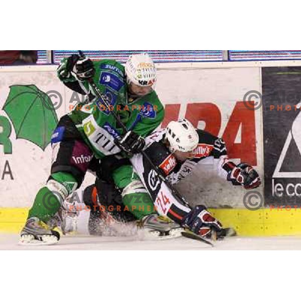 Cvetek and Terlikar at ice hockey match Tilia Olimpija- Acroni Jesenice in fourth game of playoff, played in Hala Tivoli, Ljubljana 23.3.2009 